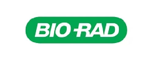 New Project - 2026-03-24T035702.795